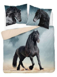 Francúzske obliečky Black Horse 220/200, 2x70/80