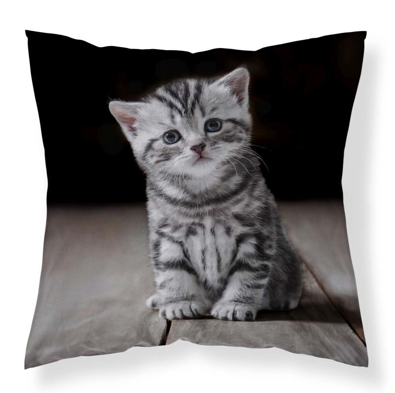 Obliečka na vankúšik Mačiatko micro 40/40