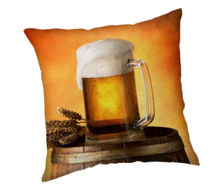Vankúšik Pivo 40/40